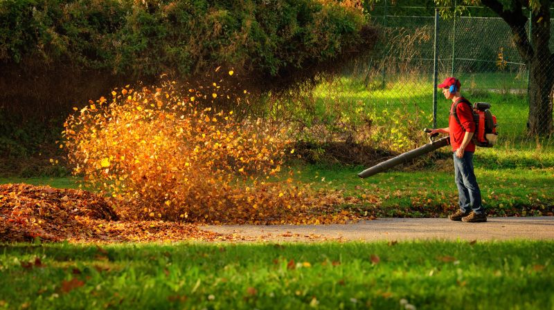 Professional Leaf Blower in Action