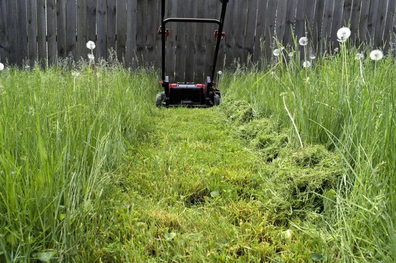 Lawn Health Care