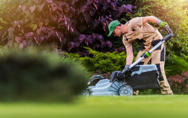 Lawn Care And Maintenance in Hampton
