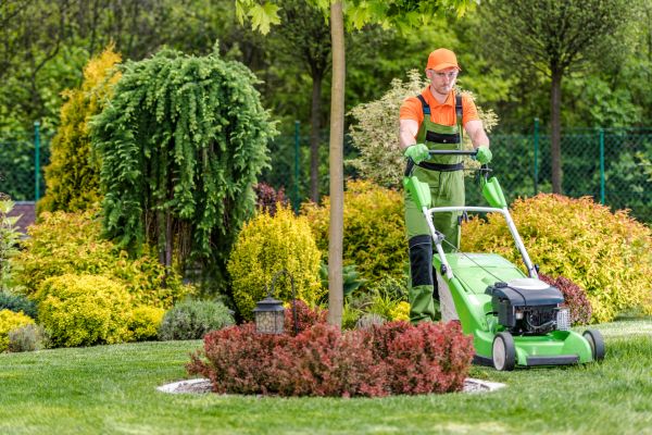Yard Service in Hampton