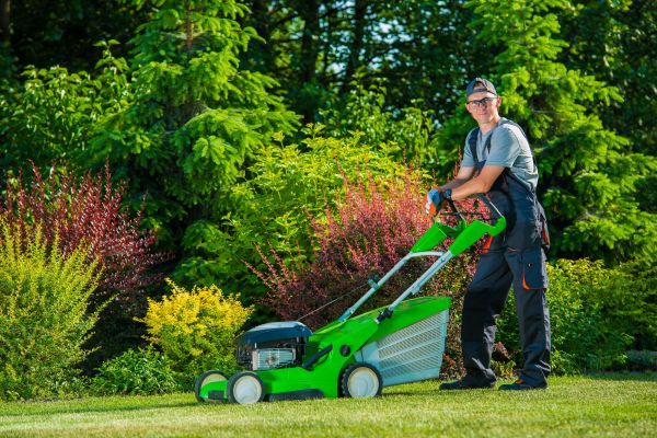 Yard Work Service in Hampton