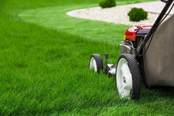 Yard Mowing in Hampton