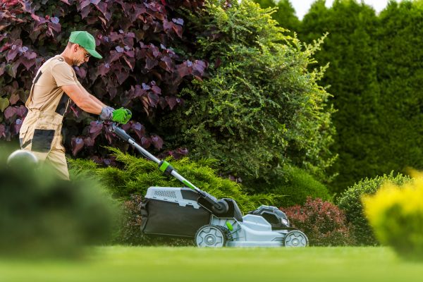 Lawn Management in Hampton