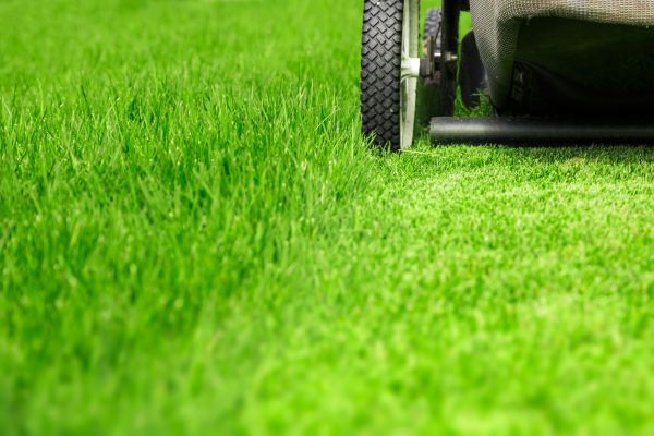 Weekly Lawn Care in Hampton