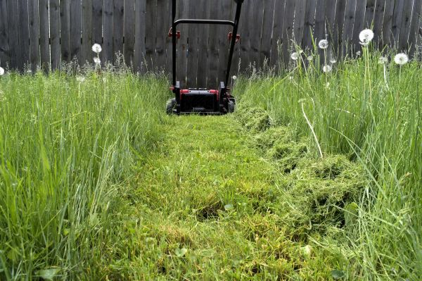 High Grass Mowing in Hampton