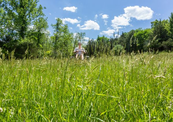 Long Grass Mowing in Hampton