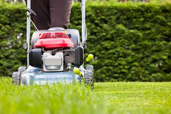 Grass Trimming Service in Hampton