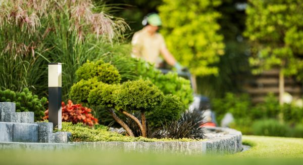Residential Yard Maintenance in Hampton