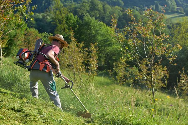 Slope Mowing in Hampton