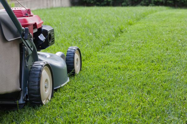 Spring Lawn Maintenance in Hampton