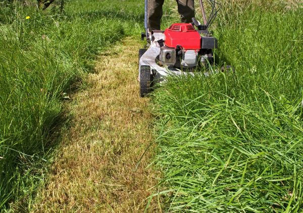 Leaf Mowing in Hampton